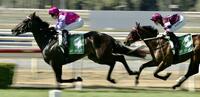 Different Strokes Breaks Through at Wyong on Cup Day!