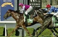 Oxford Tycoon Bounces Back into Winners Circle at Wyong!