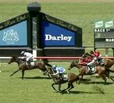 Rock Step Breaks Through for Maiden Win at Scone on Monday!