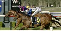 Sweet Victory for Ruby at Wyong on Tuesday!