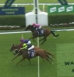 Sweet Ruby makes it 2 in a row with Gutsy win at Warwick Farm