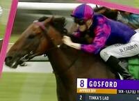 Tinka's Lad Wins Again!