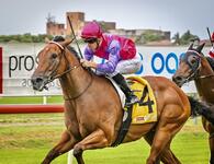 Promising Star Turn 3yo Makes it 3 wins from 6 starts on the Weekend!