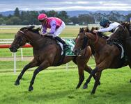 Garrison Scores First Win for the Stable at Hawkesbury Metro meeting!