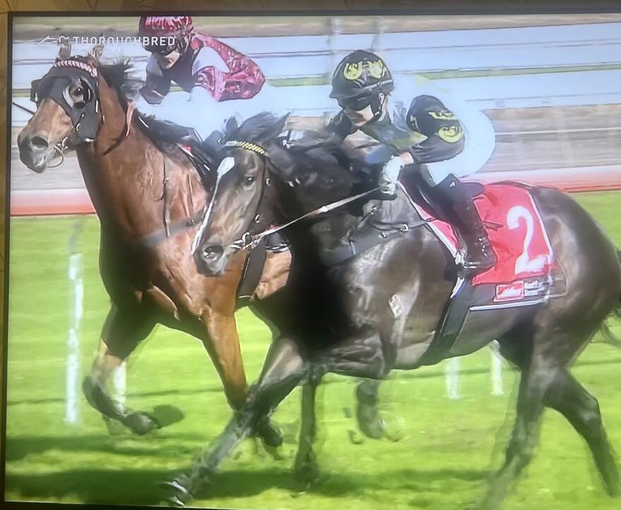 Australian Horse Trainer Kim Waugh Racing Stables