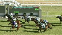True Crime Scores Impressive win on Debut at Gosford!