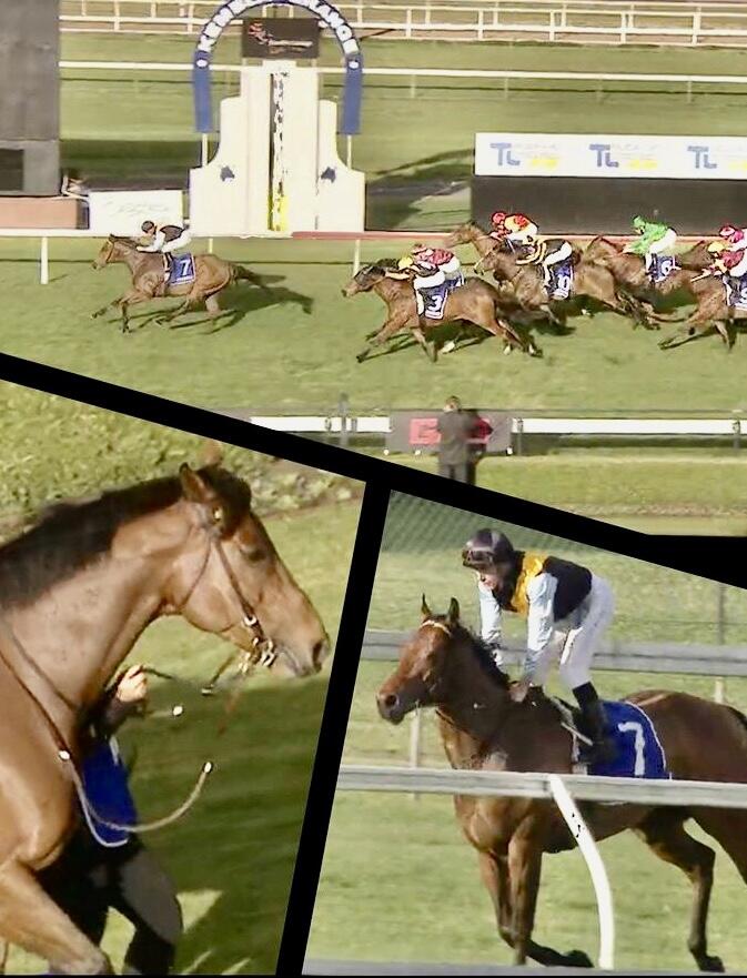 Australian Horse Trainer Kim Waugh Racing Stables