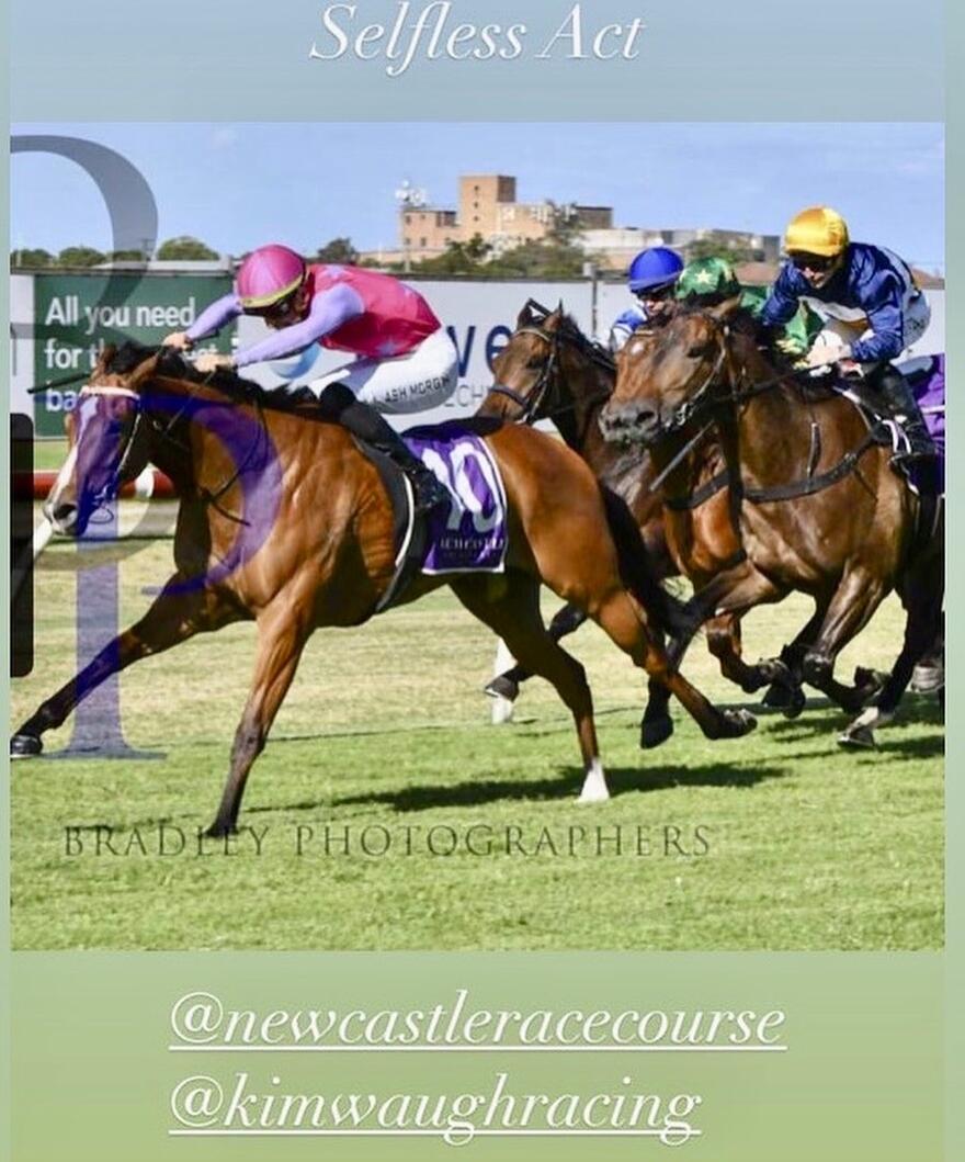 Australian Horse Trainer - Kim Waugh Racing Stables