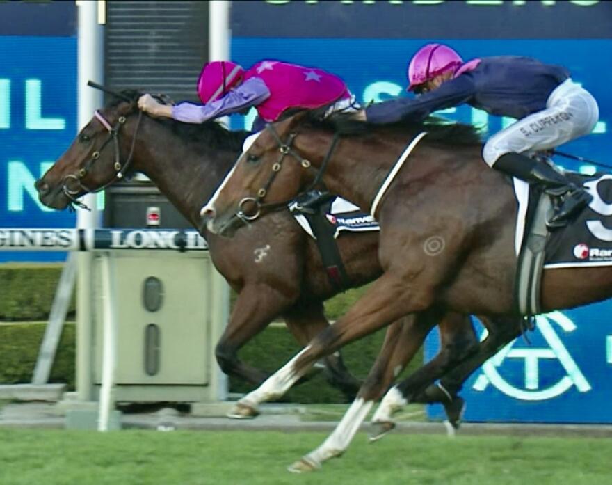 Australian Horse Trainer Kim Waugh Racing Stables