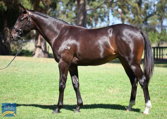 Oratorio X Hallowell Angel