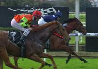 Spoiled rotten Sneaky Chance salutes at Belmont