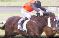 Dobell upsets hot favourite El Desperado at Morphettville