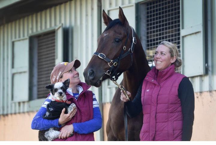 Australian Horse Trainer | Melissa Dennett Racing
