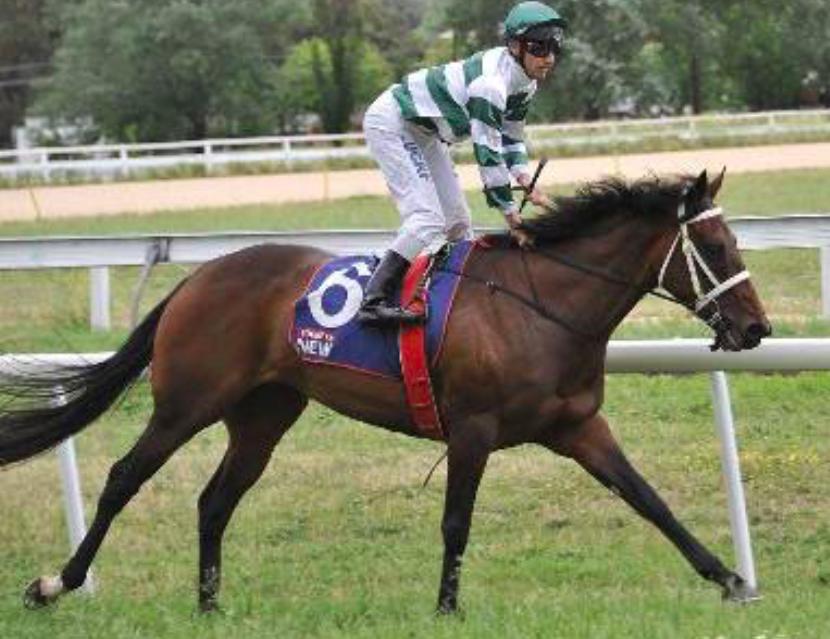 Australian Horse Trainer Melissa Racing