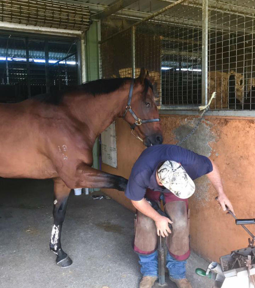 Horse Training Facilities - Melissa Dennett Racing