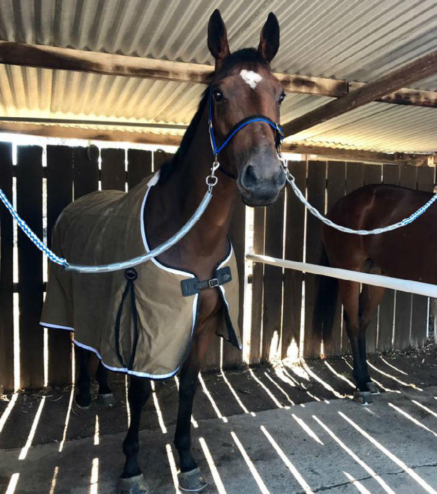 Horse Training Facilities - Melissa Dennett Racing