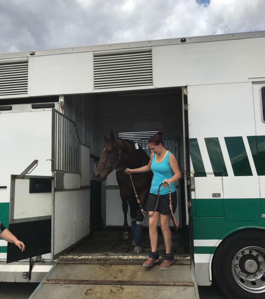 Horse Training Facilities - Melissa Dennett Racing