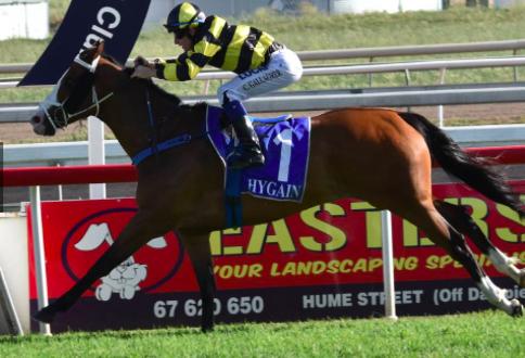 Australian Horse Trainer | Melissa Dennett Racing