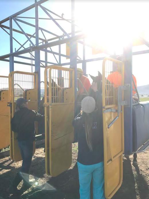 Melissa Dennett Racing :: Gallery