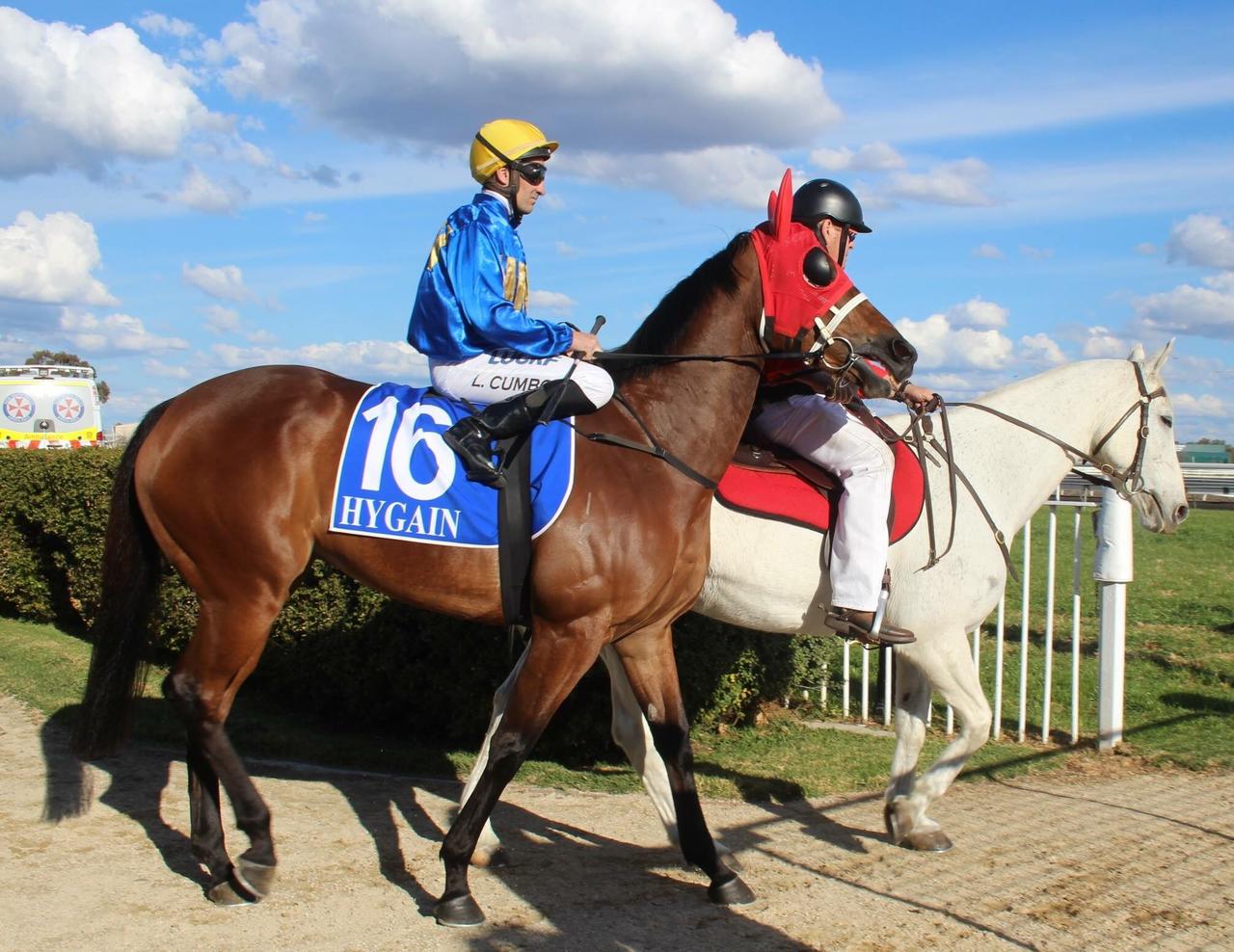 Melissa Dennett Racing :: Gallery