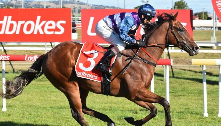 Australian Horse Trainer | Melissa Dennett Racing