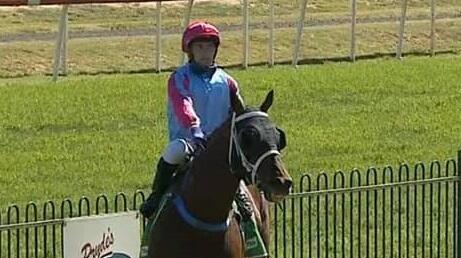 Australian Horse Trainer | Melissa Dennett Racing