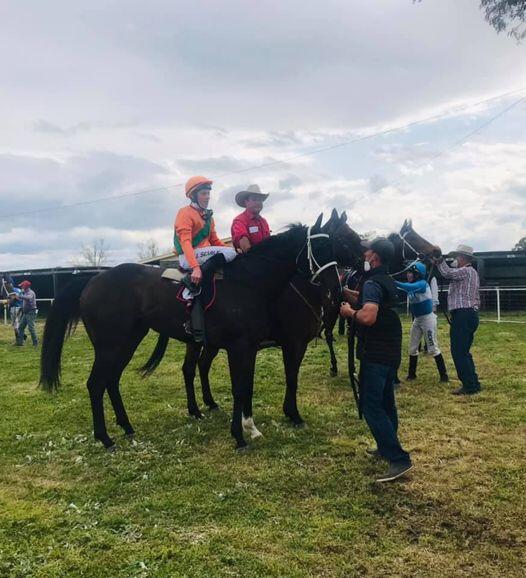 Australian Horse Trainer | Melissa Dennett Racing