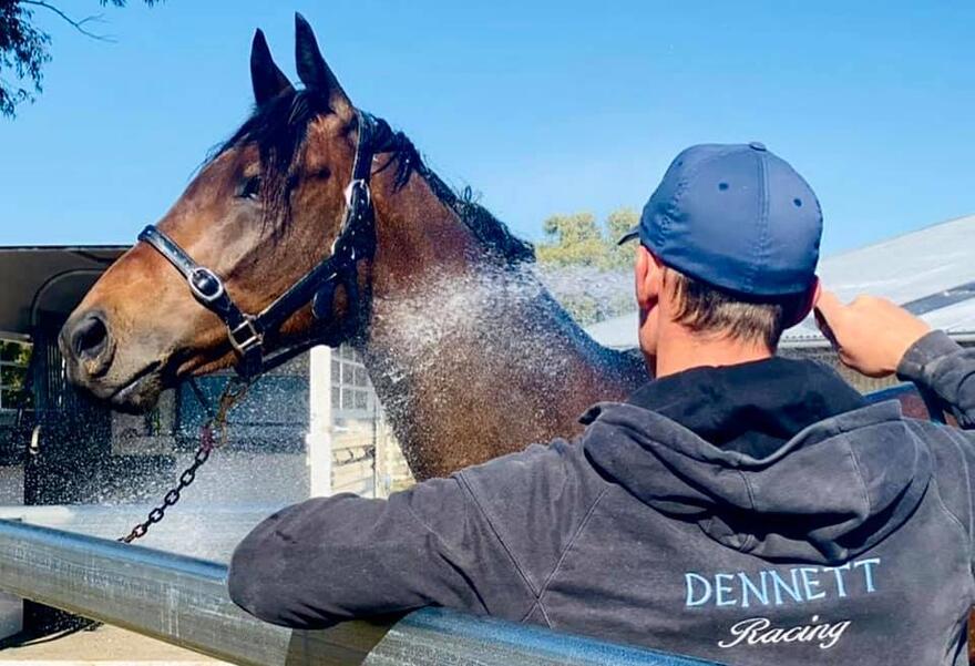 Australian Horse Trainer | Melissa Dennett Racing