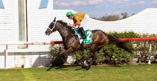 Australian Horse Trainer | Melissa Dennett Racing