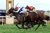 Thunder Road Set To Strike Again At Wagga