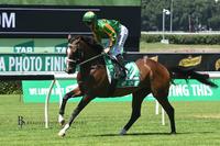 Goulburn Trainers Have 'Horsesome Foursome' Highway Result