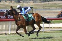 MacFarlane Takes Top Rising Star Points At Goulburn