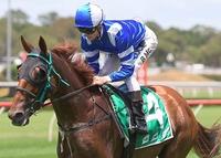 No Sweat For Newtown