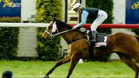 RIBS wins at Gundagai