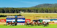 Makeadane Wins Bega Cup!