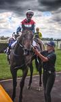 Well-deserved maiden victory to Pellegrina at Hawkesbury on Saturday!