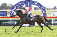 Dominant win by Kuiper Belt at Hawkesbury