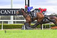 Well deserved victory for Reneged at Canterbury