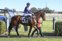 Eye-catching win by Golden Hits