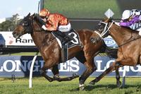 Dreamforce takes out the Winter Stakes at Rosehill