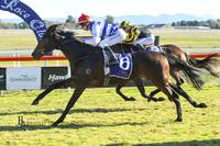 Etheridge shows promise at Hawkesbury