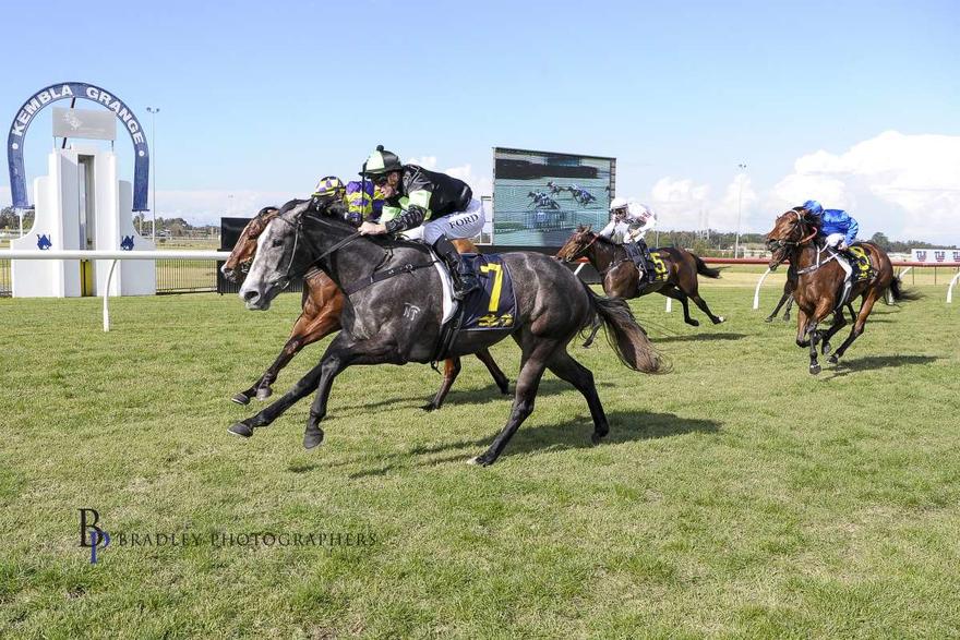 Australian Horse Trainer John Thompson Racing