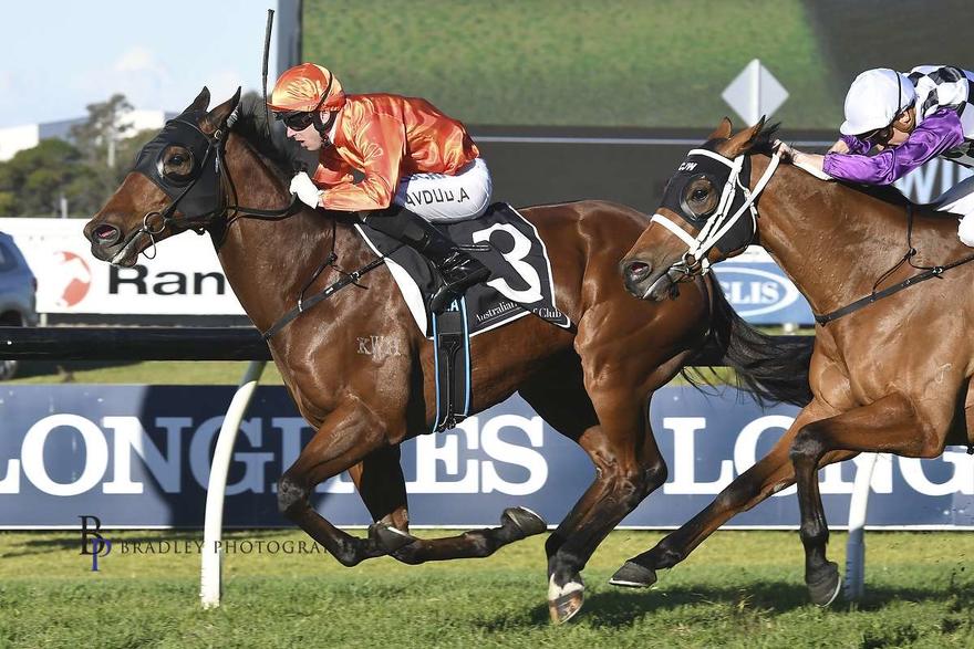 Australian Horse Trainer John Thompson Racing