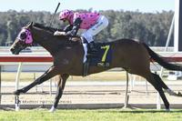Bobbio is brilliant at Wyong