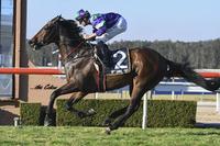 Golden Hits sings a winning tune at Wyong
