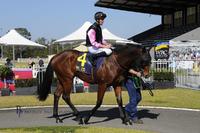 Republic finds form at Wyong