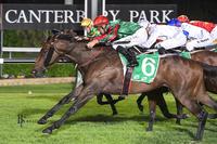 Fantastic Man salutes at Canterbury