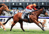Dreamforce claims victory in Chatham Stakes