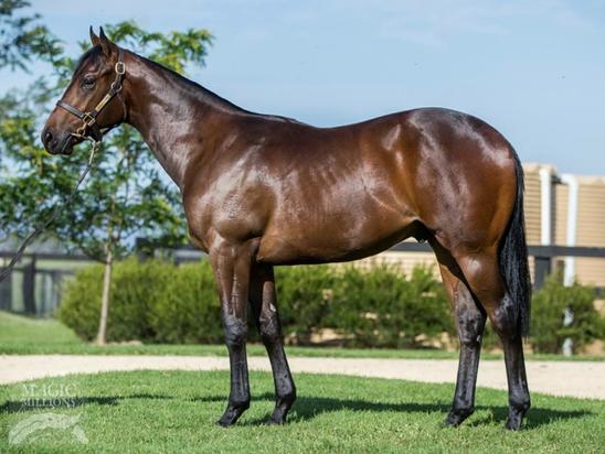 Wandjina X Forbidden