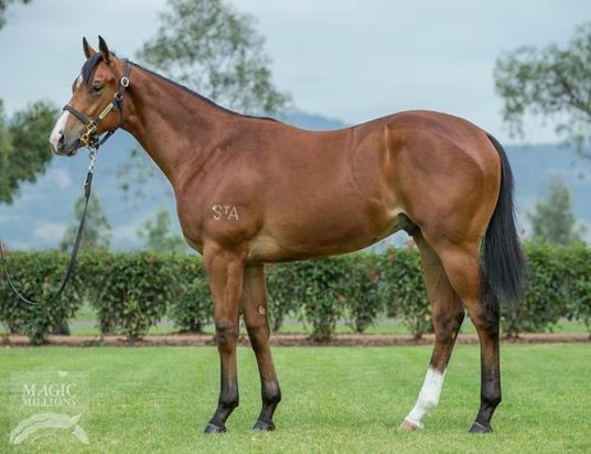 Not A Single Doubt X Indirect